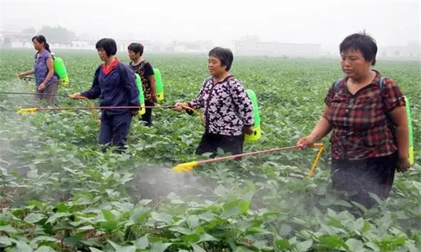 大豆如何喷施尿素