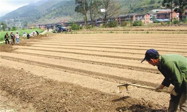 选地与整地